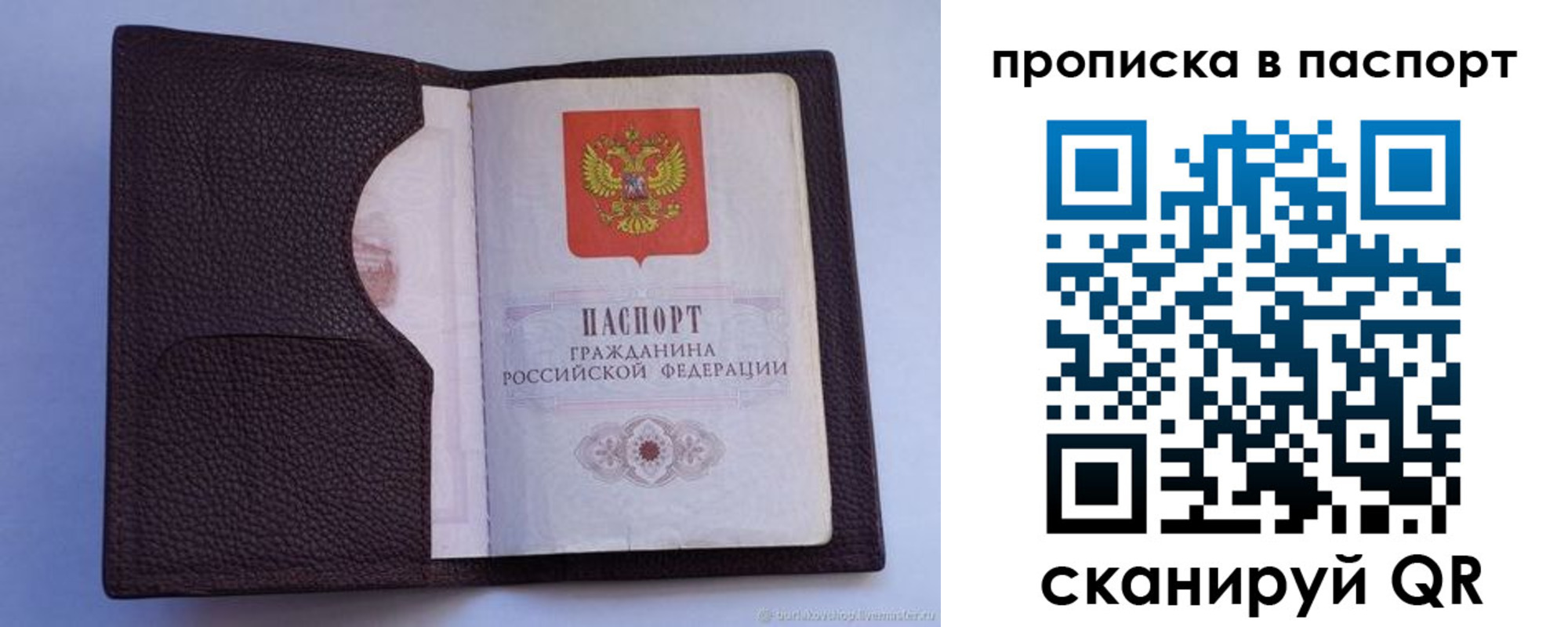 прописка законно в Гвардейске